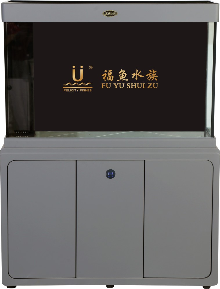 B 磺Ħ